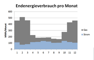 ENMA Diagramm Endenergieverbrauch pro Monat für Strom und Gas