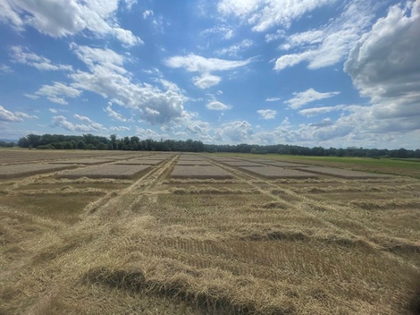 Projektbild Landwirtschaft